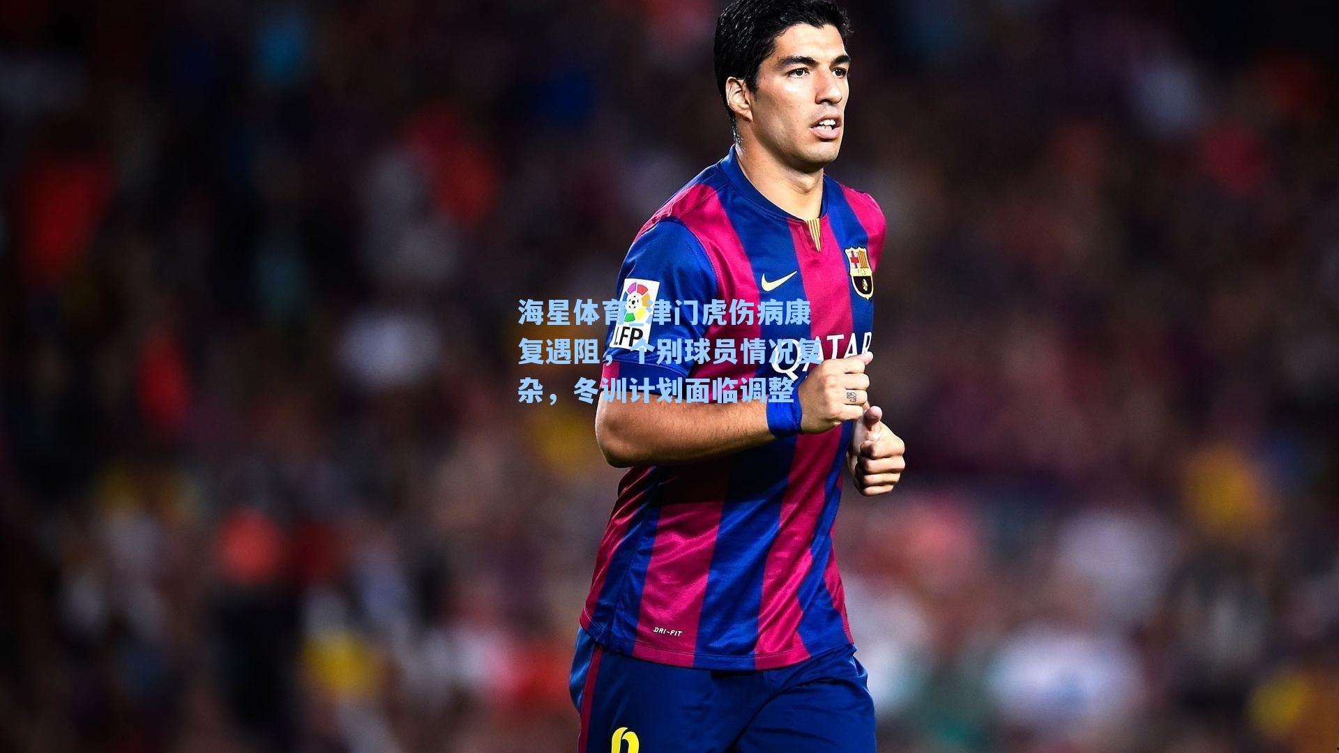 津门虎伤病康复遇阻，个别球员情况复杂，冬训计划面临调整