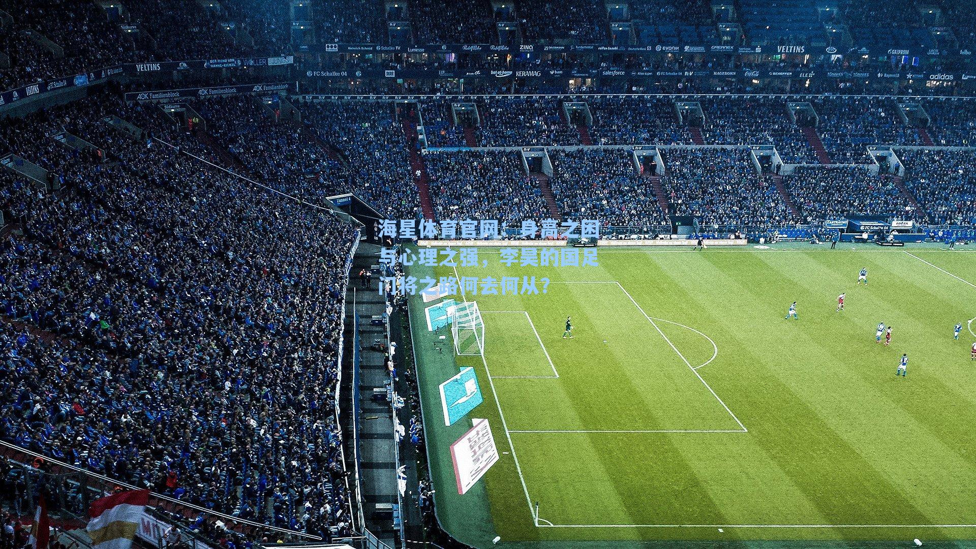 海星体育官网：身高之困与心理之强，李昊的国足门将之路何去何从？